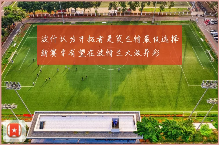 波什认为开拓者是莫兰特最佳选择新赛季有望在波特兰大放异彩